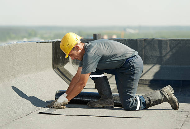 Best Geographic-Specific Insulation Services in Highland Heights, KY